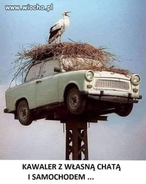 Ogłoszenie matrymonialne...