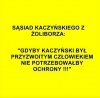Czego się boi Zbawca Narodu?
