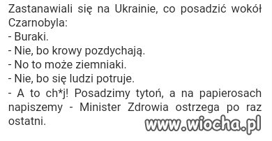 Rozkmina w Czarnobylu