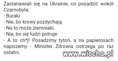 Rozkmina w Czarnobylu