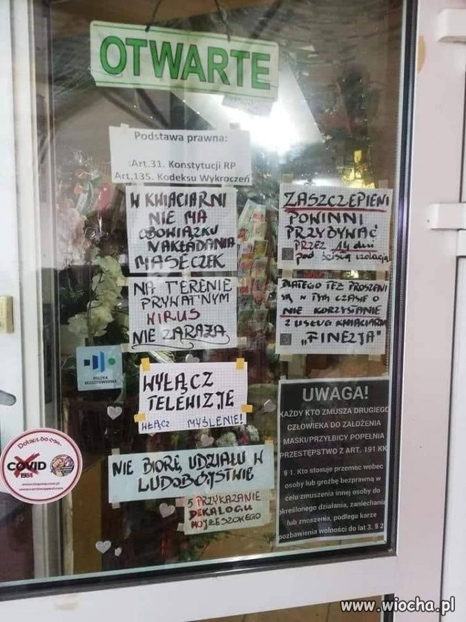 Płaskoziemiec-Antyszczepionkowiec-Myśliciel!