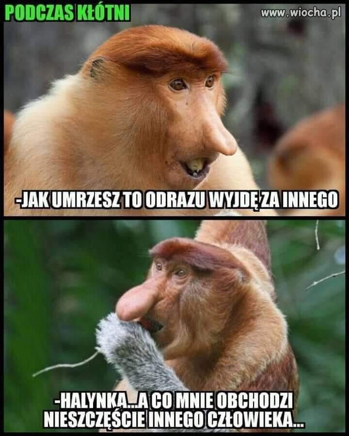 Popieram