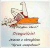 Opis 