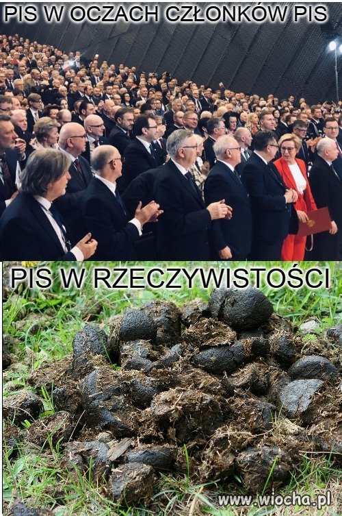 Jakby się tak temu przyjrzeć to coś w tym jest