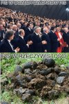 Jakby się tak temu przyjrzeć to coś w tym jest
