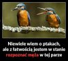 Gdzie samiczka ?