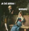 Każdy język jest piękny