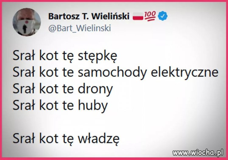 Sr#ł kot