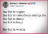 Sr#ł kot