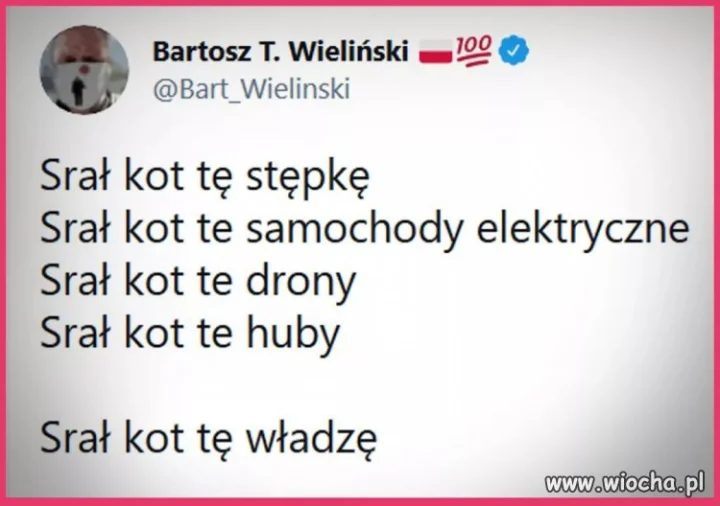 Sr#ł kot