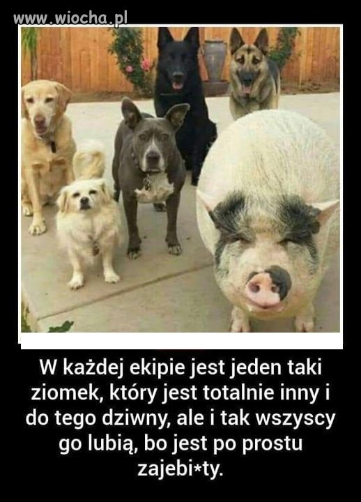 Każdy zna