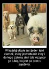Każdy zna