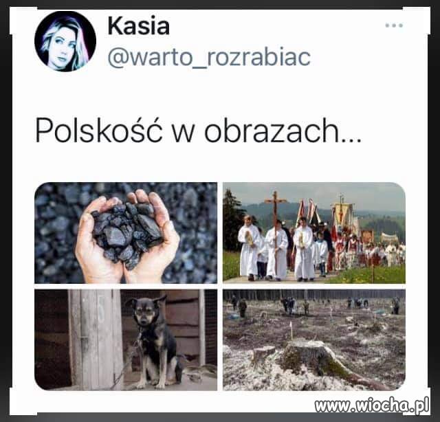 Polska w pigułce 