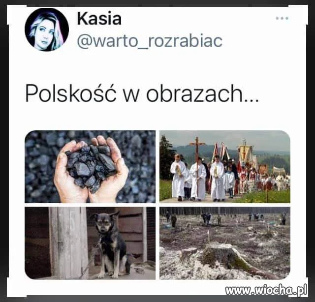 Polska w pigułce 