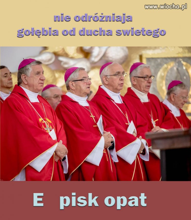 Absurdy kościoła