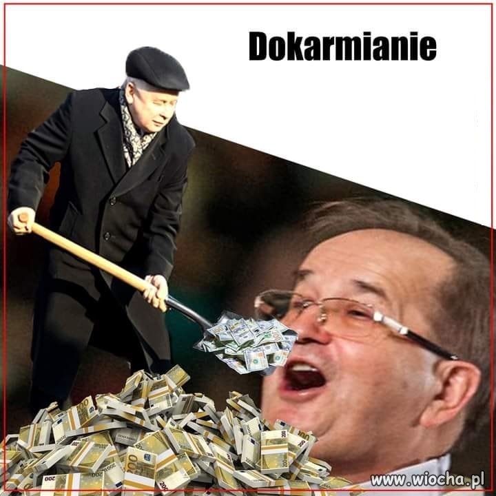 Tak wygląda dokarmianie pasożyta ...