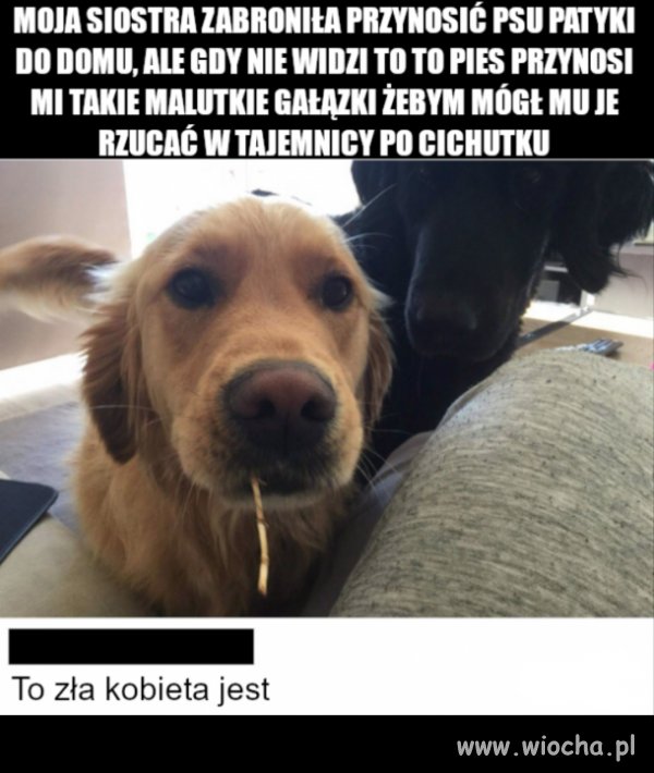 Bo to zła 