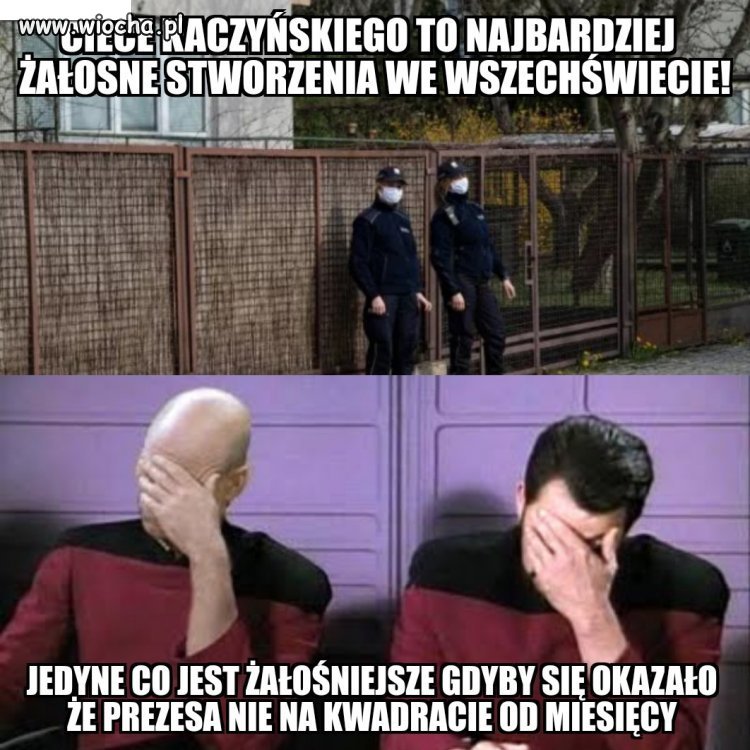 40 pispolicjantów dziennie pilnuje kurnika