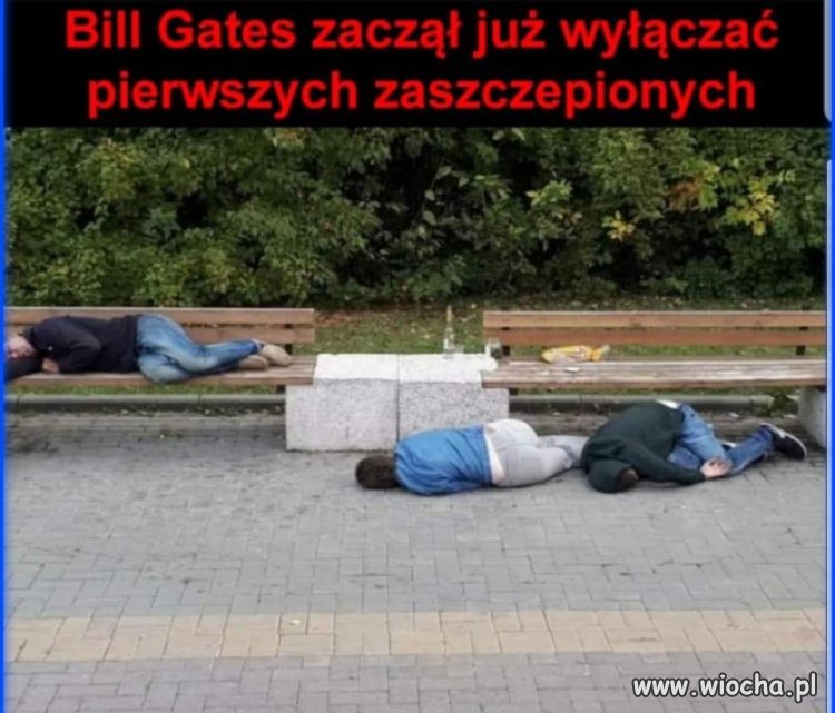 Atak trolli, foliarzy i antyszczepionkowców.