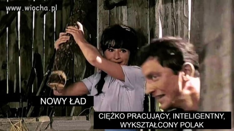 Czego nie rozumiesz ?