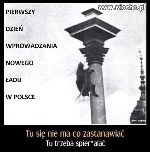 Nawet Zygmunt się poznał