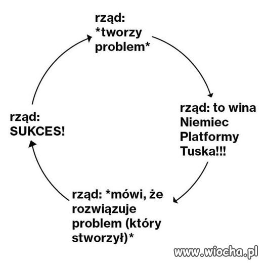 Tak wygląda cykl życia pis