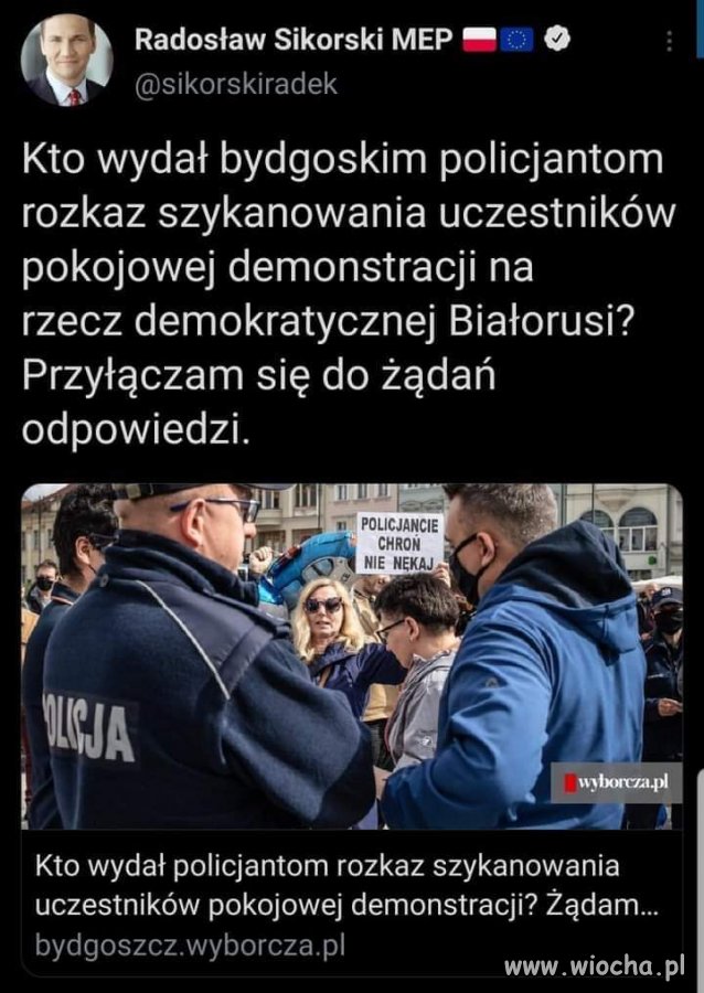 Wszyscy 