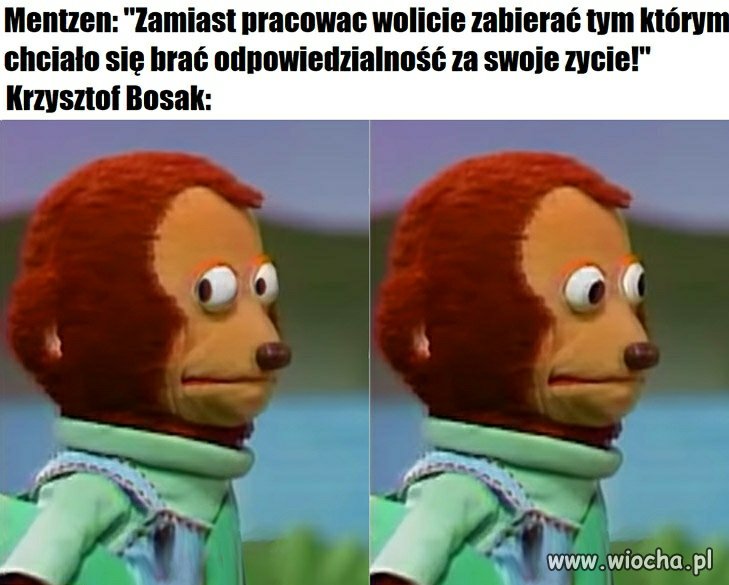 Konfederacja 