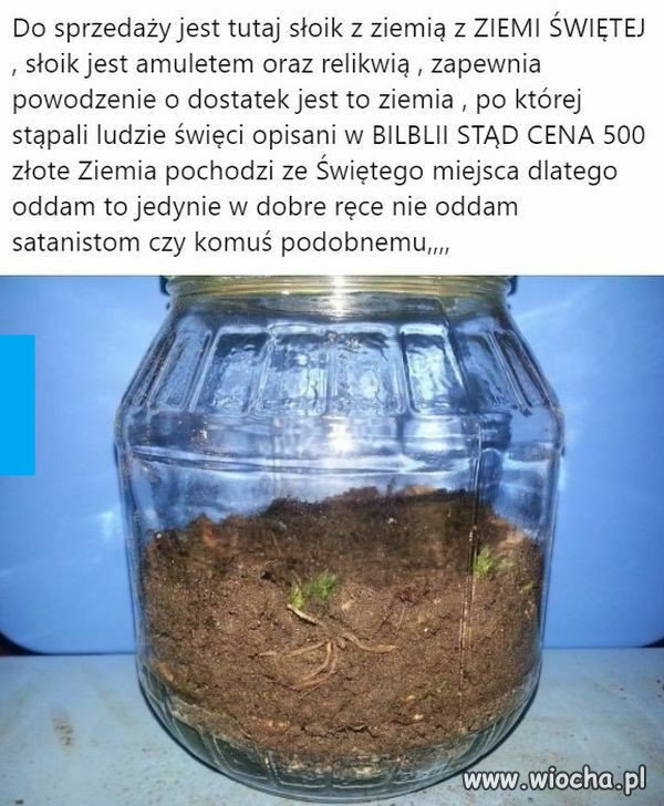 Poważna oferta, stąd taka cena