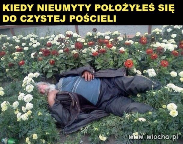 Spać w czystej pościeli