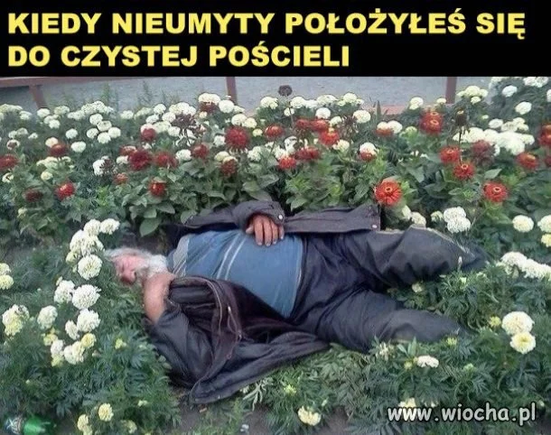 Spać w czystej pościeli