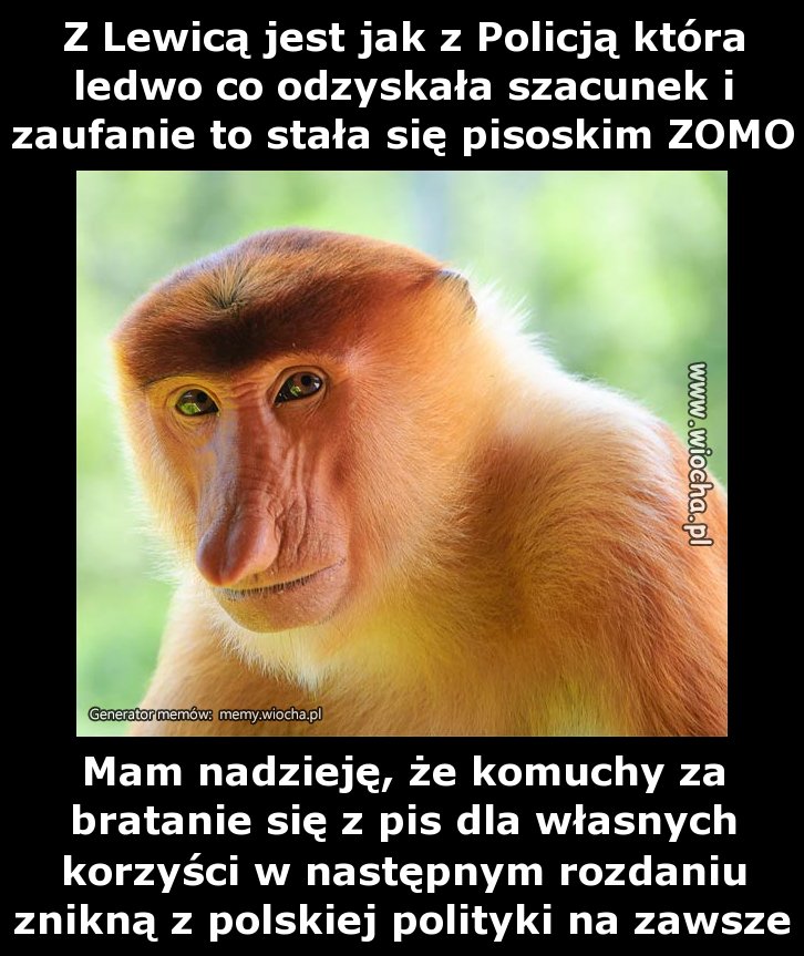 Z Lewicą jest jak z Policją