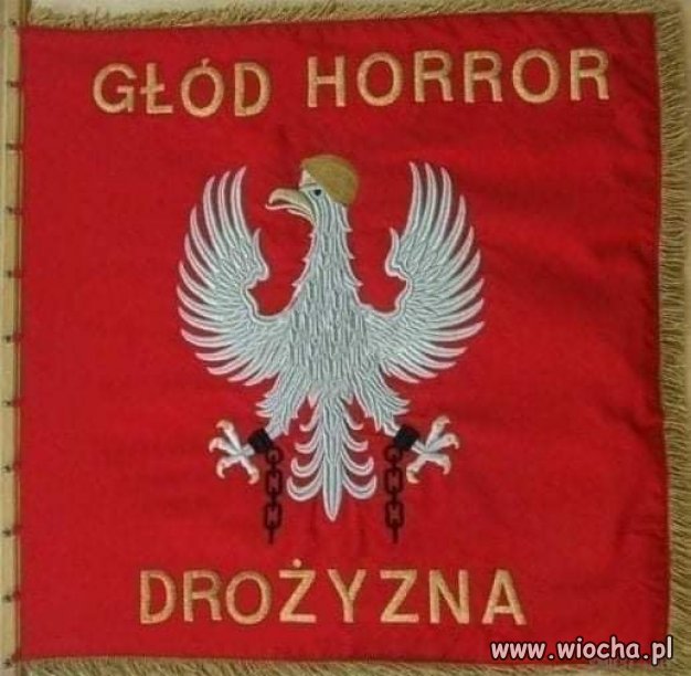 Sztandar 'Polskiego Ładu' ...