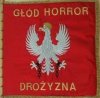 Sztandar 'Polskiego Ładu' ...