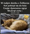 Bajki na dobranoc.