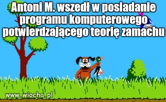 Ach, te basałyki z PIS-u