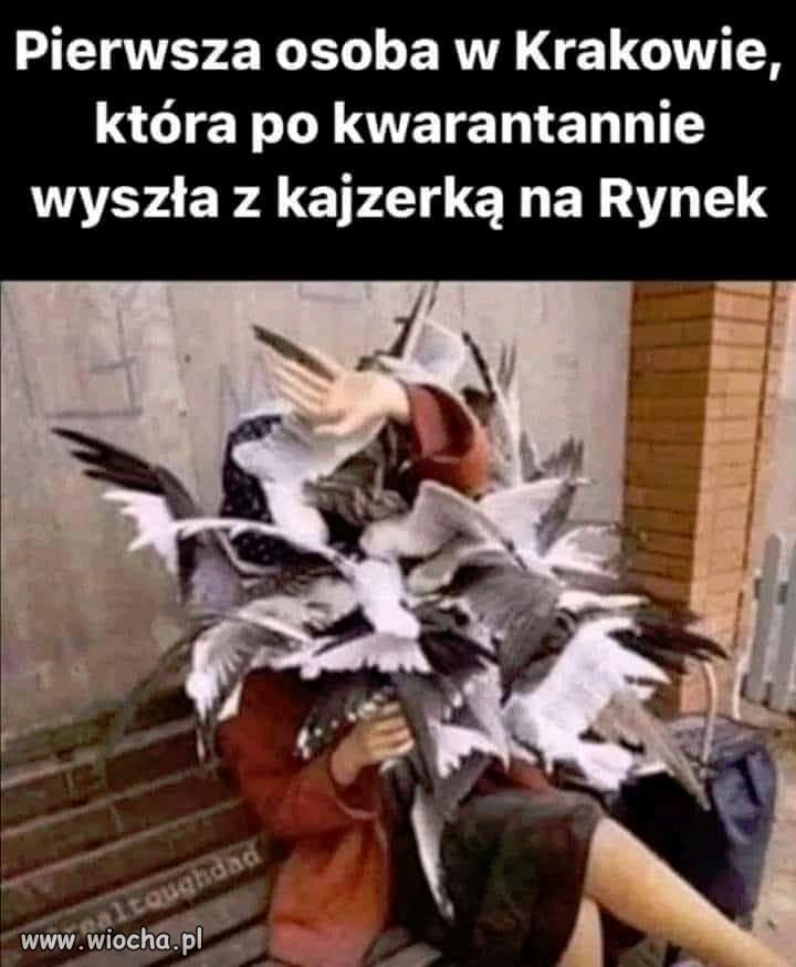 Nie przewidziała