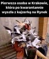 Nie przewidziała
