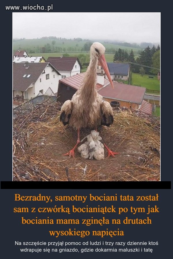 Wiara w ludzkość przywrócona