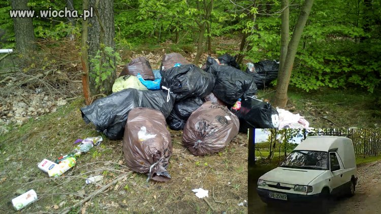 Śmieciarze w lesie - ok. Gdańska Osowej