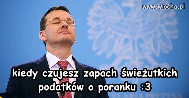 Poranek kojota choć bardziej raczej hieny
