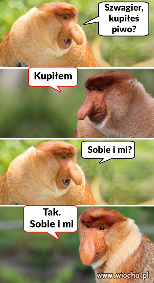 Kupiłeś piwo ? 