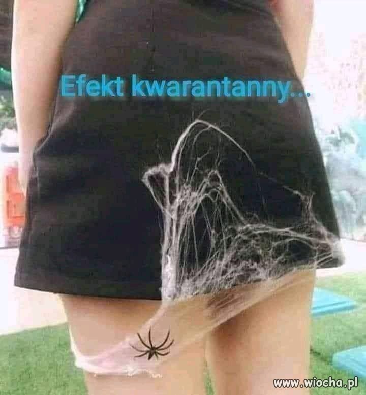 Dlatego będzie