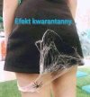 Dlatego będzie