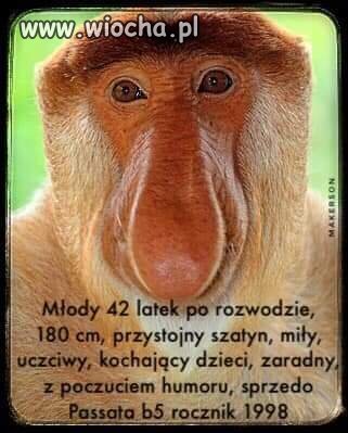 Ogłoszenie 