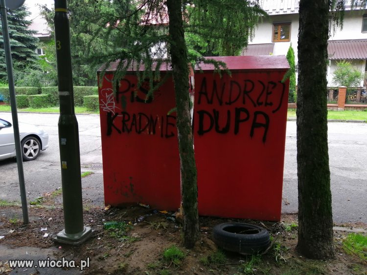 Głos ludu prawdę ci powie