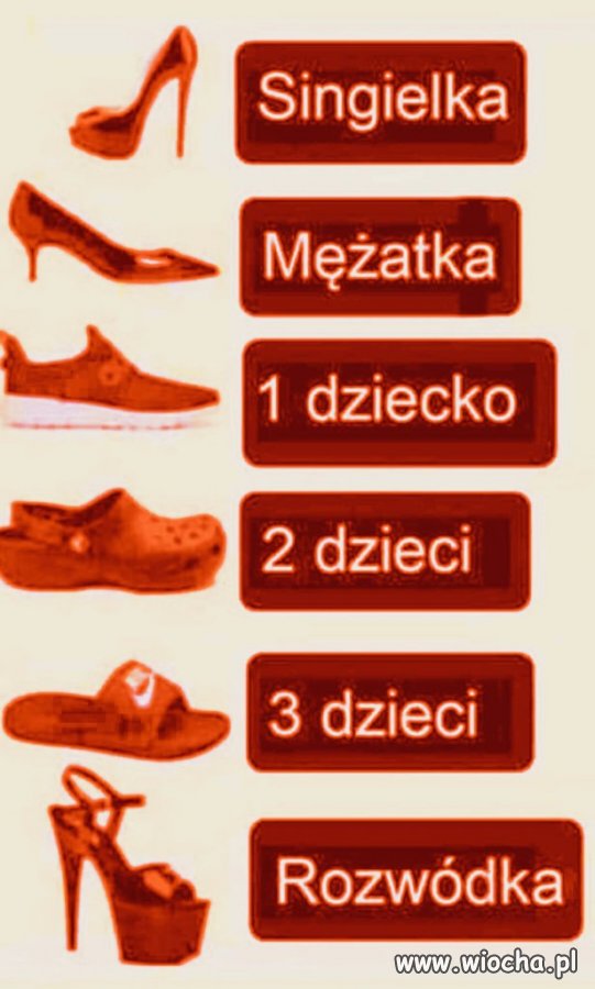 Ewolucja jest kobietą?