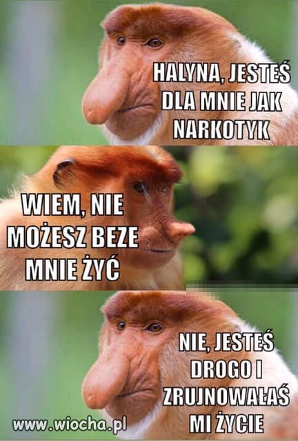 Halyna 