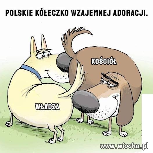 Zależność