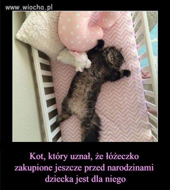 Ach te koty...zawsze znajdą wygodne miejsce.